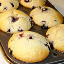 Frozen Blueberry Muffins