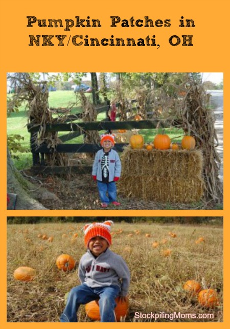 Pumpkin Patches in NKY/Greater Cincinnati