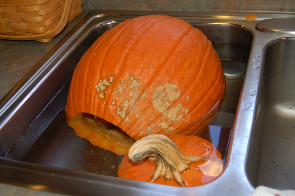 How to Preserve your Jack-o-Lantern
