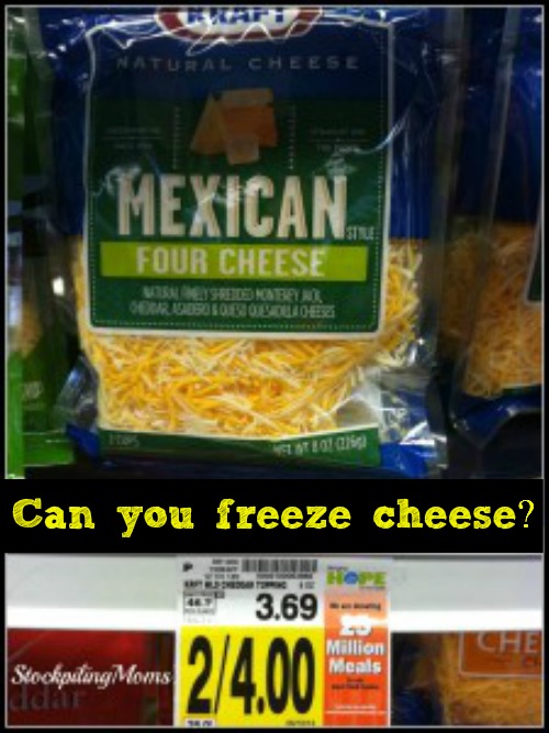 Can you freeze cheese?