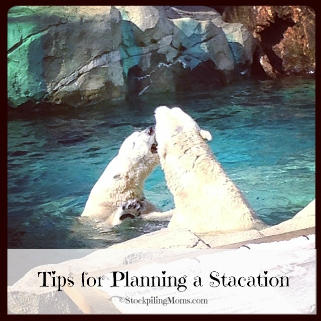 Tips for Planning a Staycation