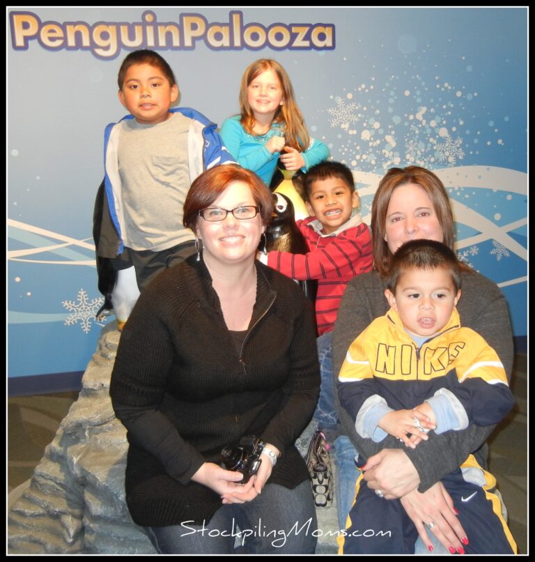 Newport Aquarium Penguin Palooza