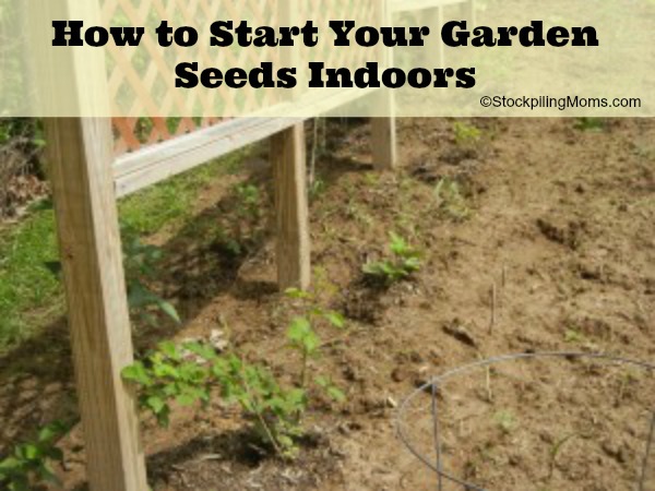 How to Start Your Garden Seeds Indoors