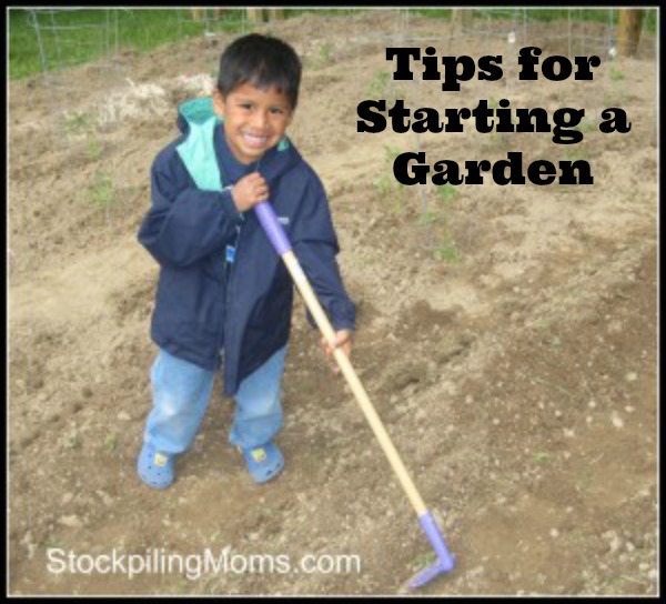 Tips for Starting a Garden