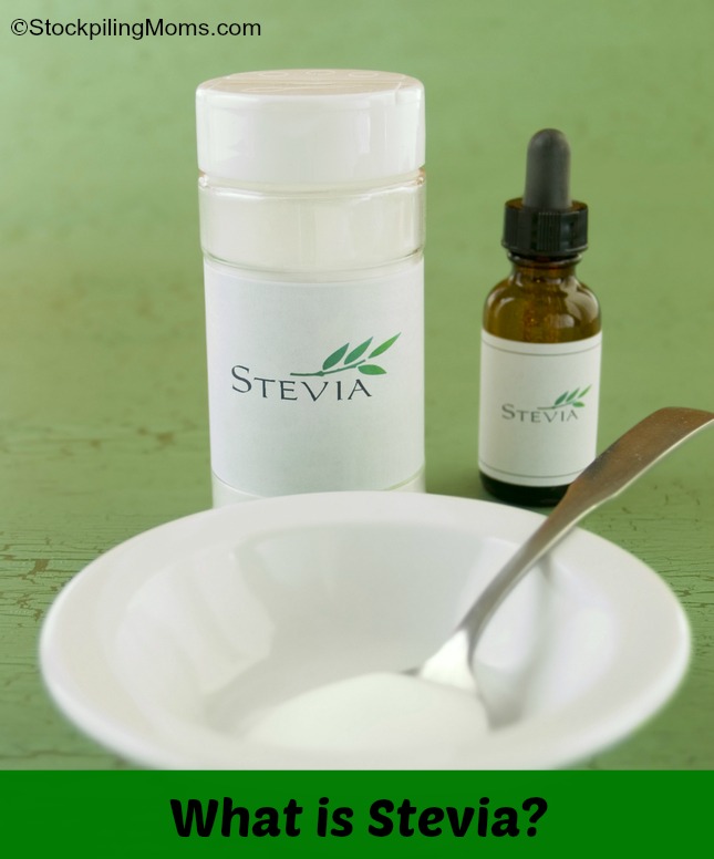 What is Stevia?