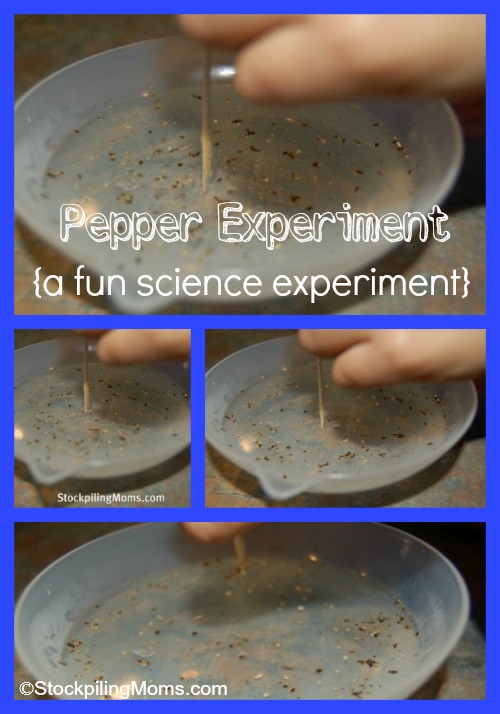 Pepper Experiment – Fun Activity For The Kids