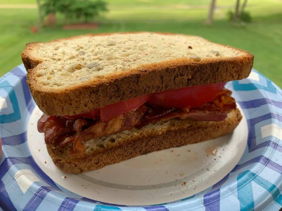 Bacon Tomato and Mayonnaise Sandwich