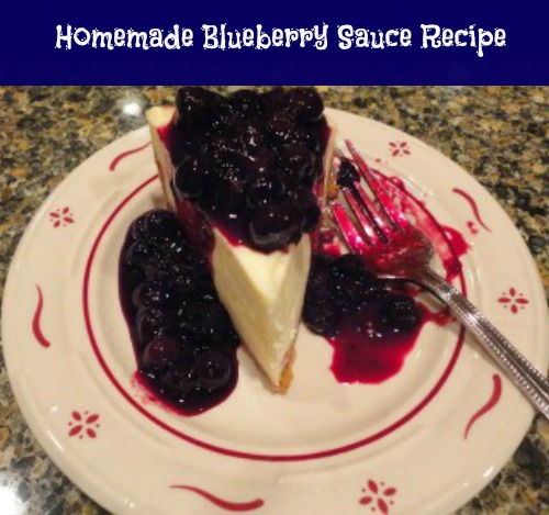 Fresh Blueberry Sauce Recipe
