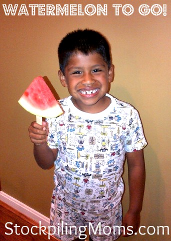 Summer Fun – Watermelon To Go