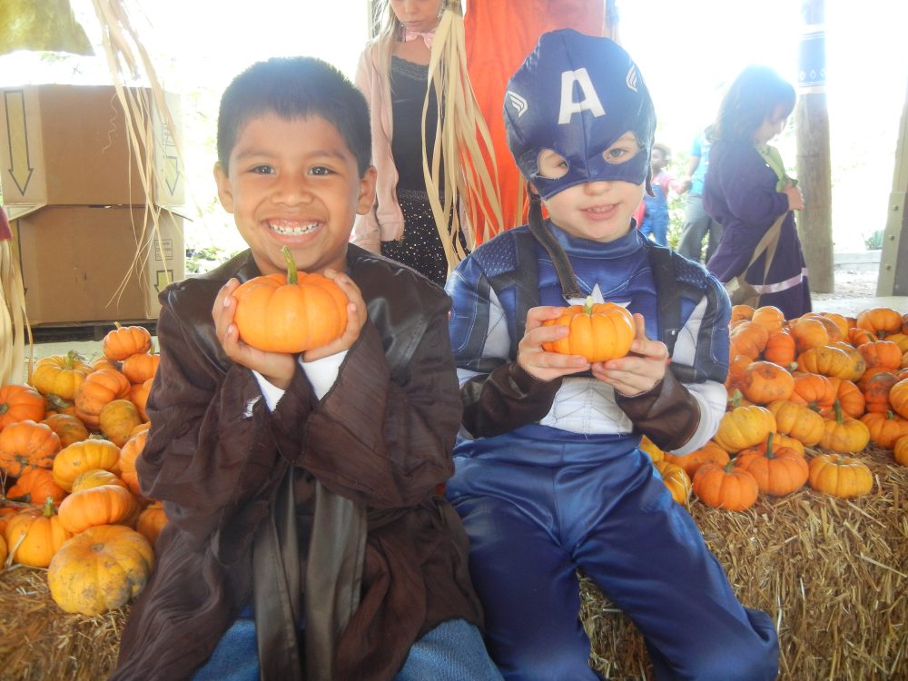 Cincinnati Zoo – HallZOOween (Trick or Treating)