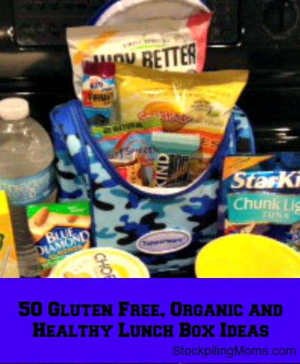 DIY Dish Soap Uses:Ice Pack for Lunch Boxes (#Palmolive25Ways) (#CBias) –  Stuff Parents Need