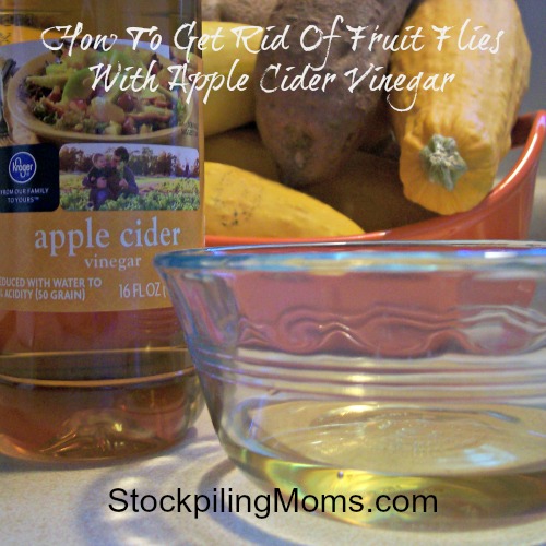 How to get rid of Fruit Flies with Apple Cider Vinegar