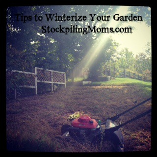 Tips to Winterize Your Garden
