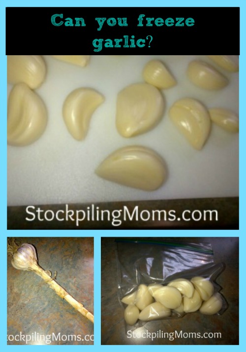 https://stockpilingmoms.com/wp-content/uploads/2012/11/can-you-freeze-garlic.jpg