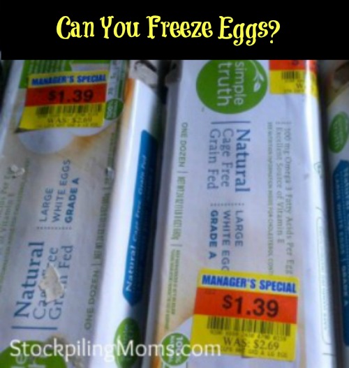 Can you freeze eggs