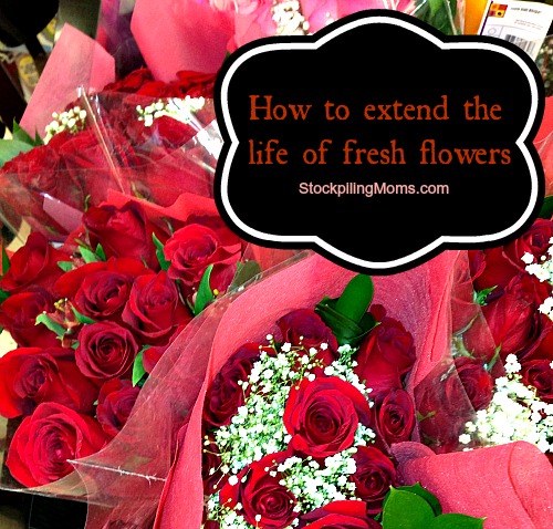 How to extend the life of fresh flowers