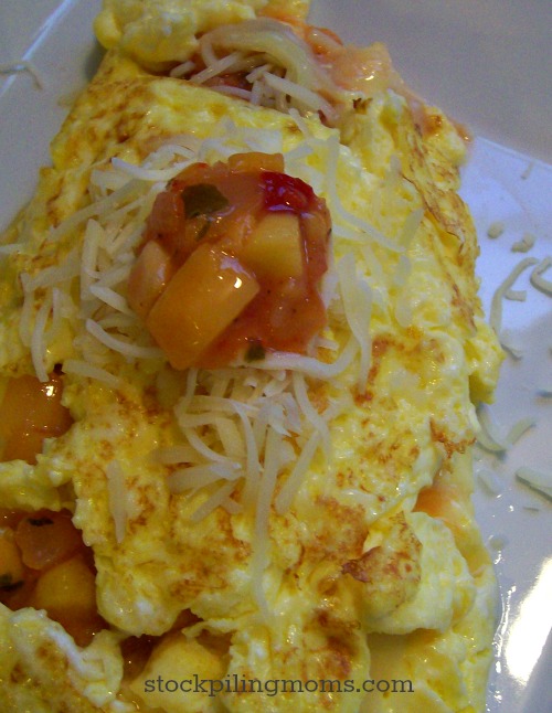 Salsa Omelet