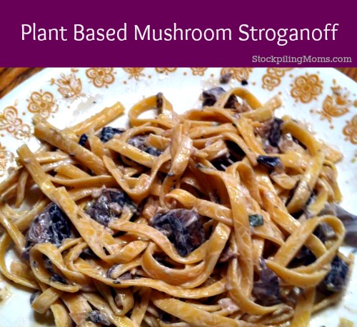 Plant Based Mushroom Stroganoff