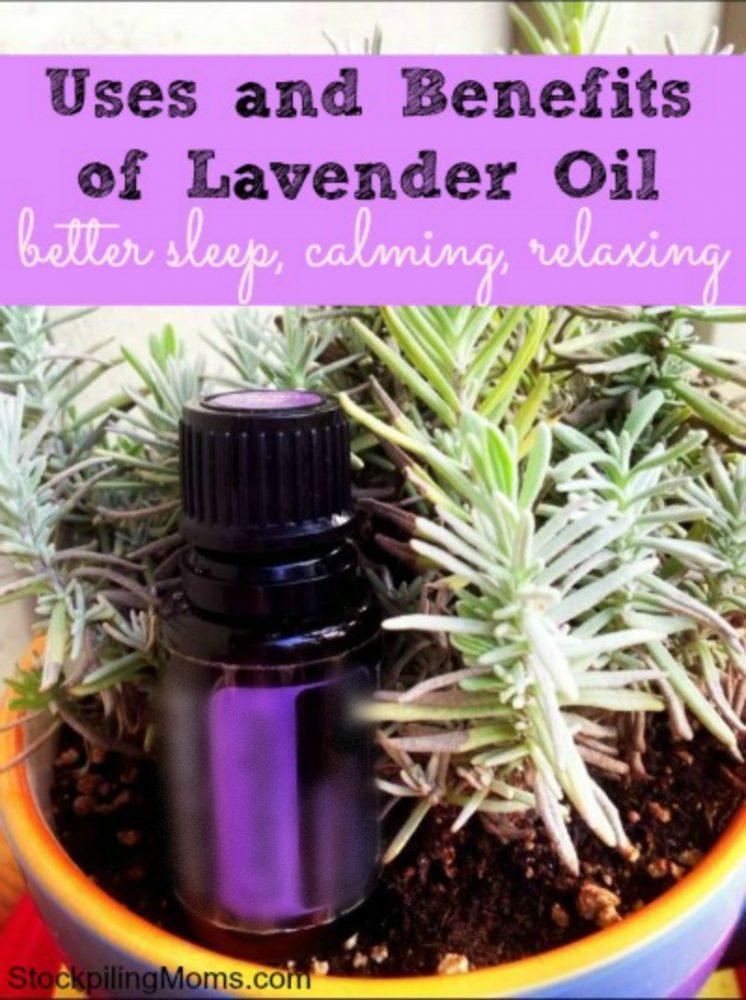 Uses and Benefits of Lavender Essential Oil