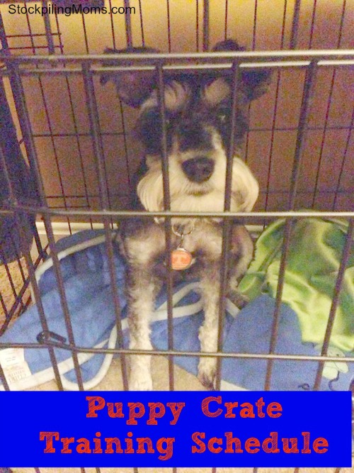 how long do you crate train a puppy at night