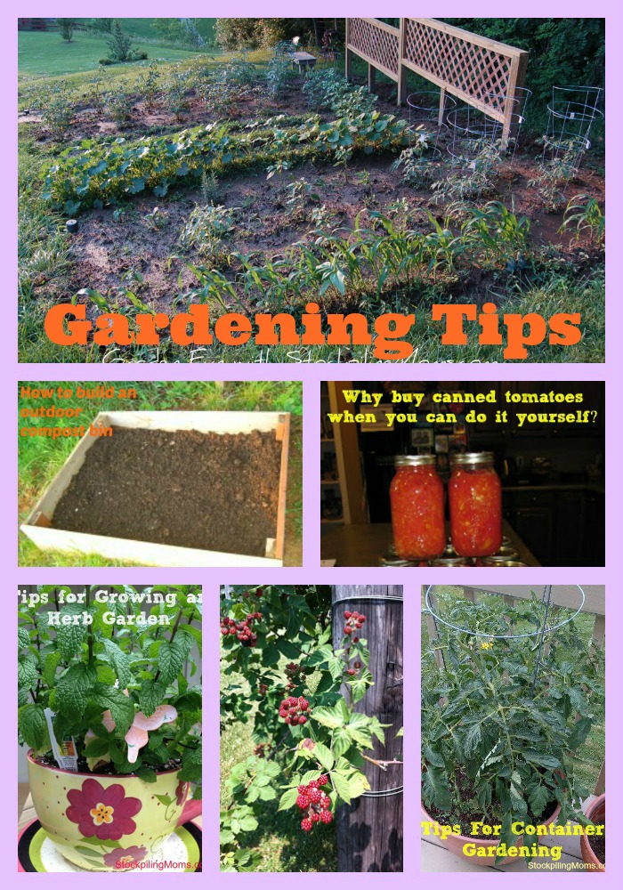 Gardening Tips Spotlight