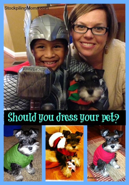 Should you dress your pet?