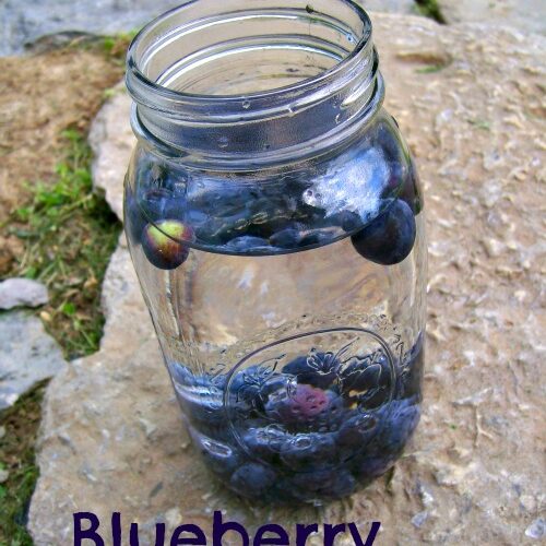 https://stockpilingmoms.com/wp-content/uploads/2013/05/Blueberry-Infused-Water3-500x500.jpg