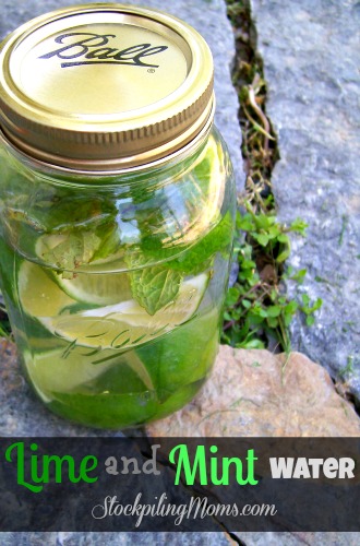 Lime and Mint Water