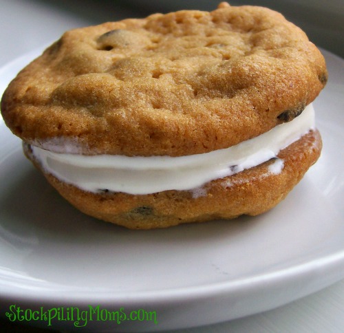 Chocolate Chip Ice Cream Sandwich