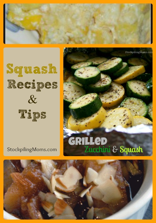 Squash Recipes & Tips