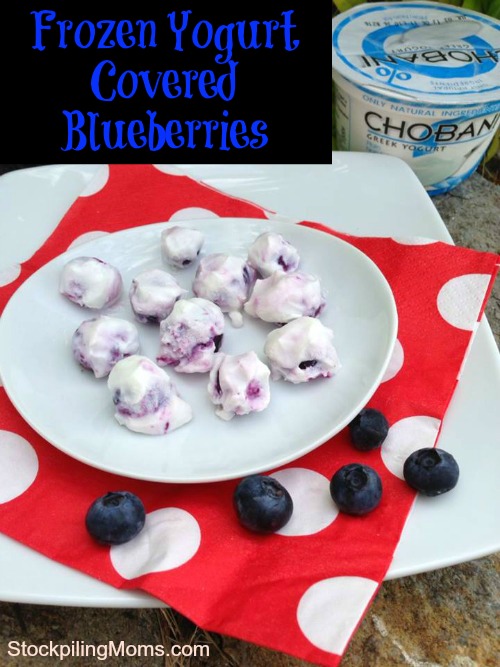 Frozen Yogurt Covered Blueberries