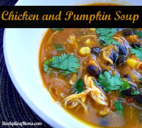 Chicken and Pumpkin Soup