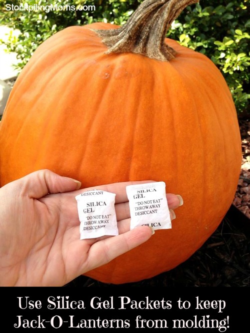 Use Silica Gel Packets To Preserve Jack-O-Lanterns