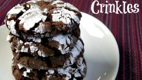Chocolate Crinkles - STOCKPILING MOMS™