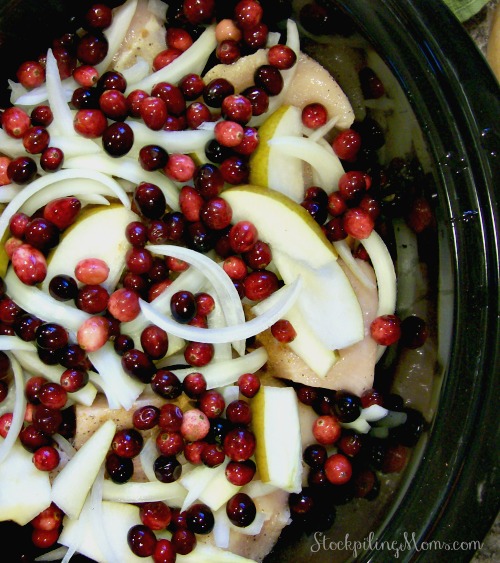 Crockpot Paleo Chicken with Butternut Squash Pears and Cranberries