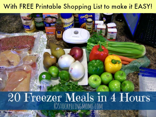 https://www.stockpilingmoms.com/wp-content/uploads/2014/02/20-Freezer-Meals-in-4-Hours-final.jpg