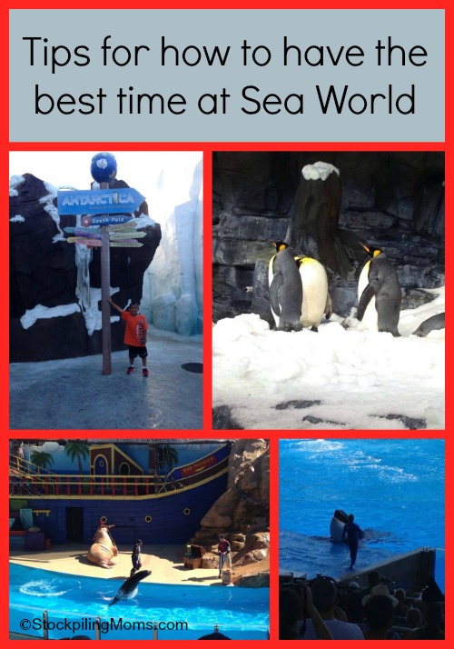 How to have the best trip to SeaWorld