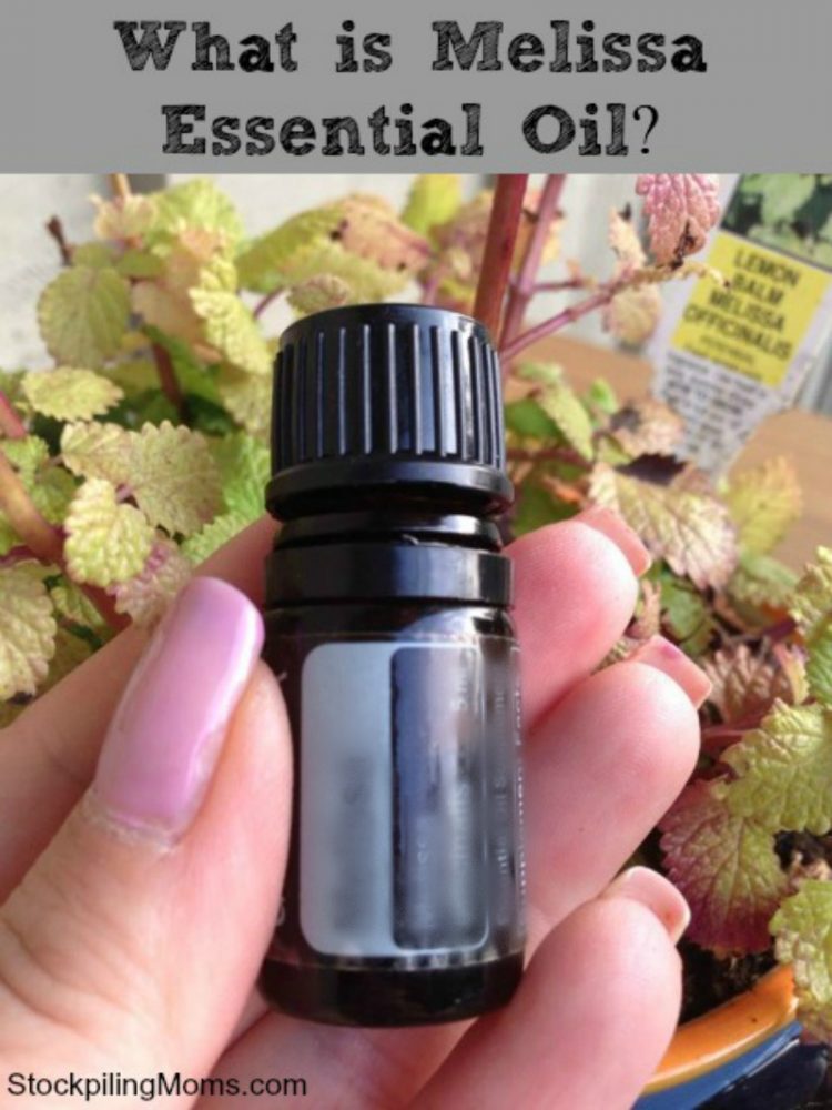What is Melissa Essential Oil?