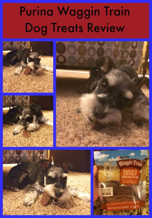 Purina Waggin Train Dog Treats