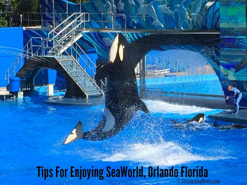 Travel Tips for Enjoying SeaWorld