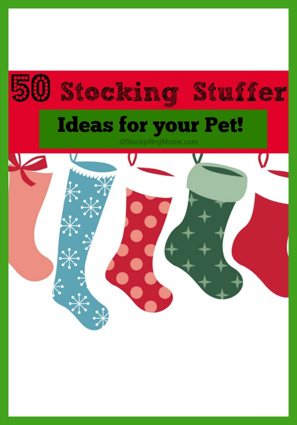 50 Stocking Stuffer Ideas For Pets
