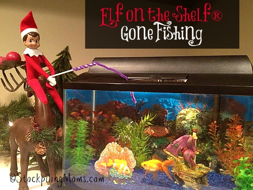 Elf on the Shelf Gone Fishing