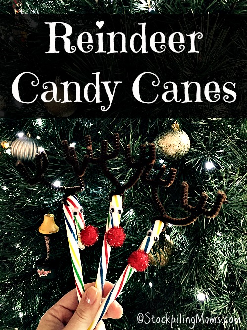 Reindeer Candy Canes