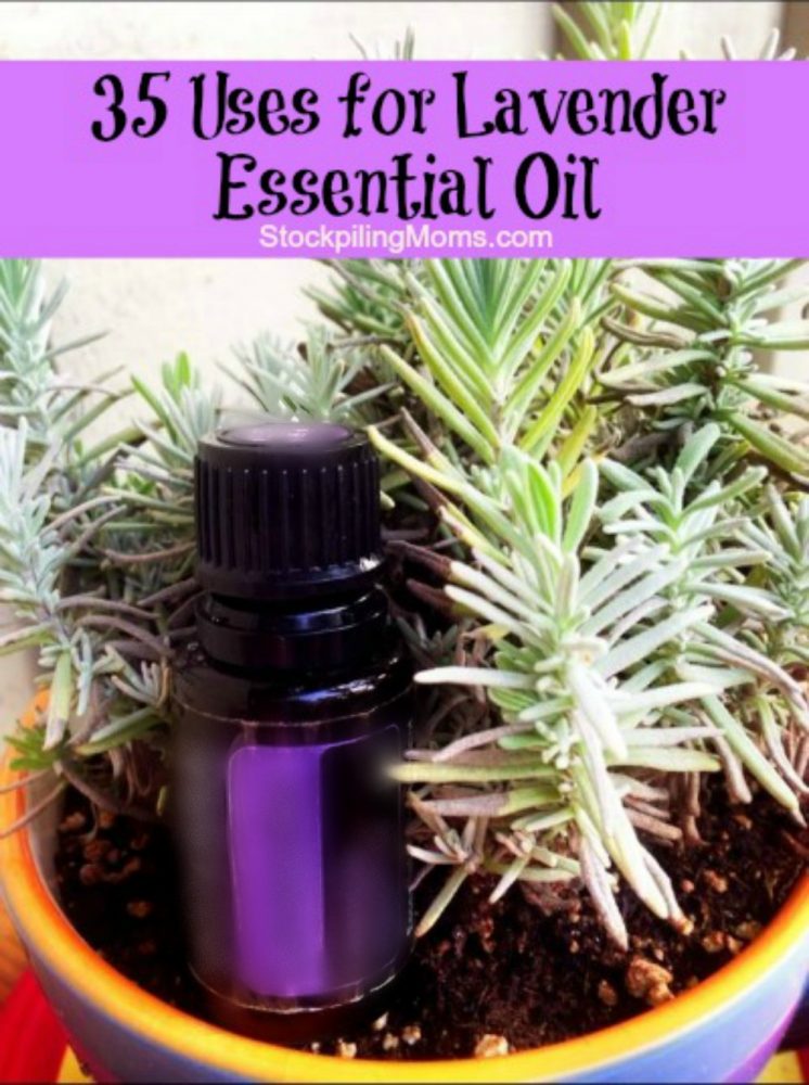 35 Uses for Lavender Essential Oil