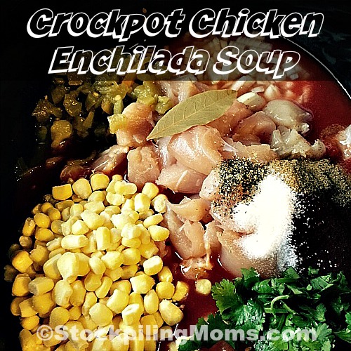 Crockpot Chicken Enchilada Soup