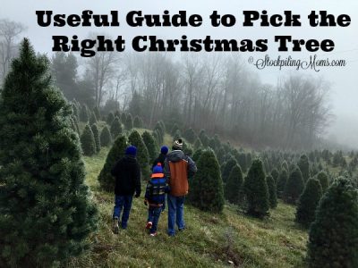 Useful Guide to Pick the Right Christmas Tree - STOCKPILING MOMS™