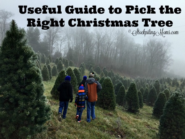 Useful Guide to Pick the Right Christmas Tree