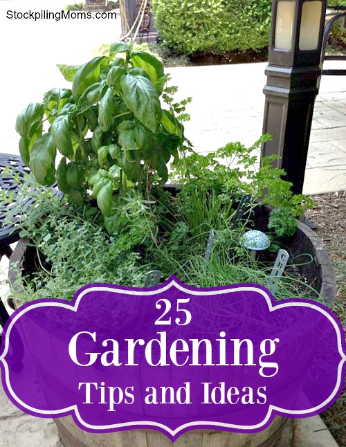 25 Gardening Tips and Ideas