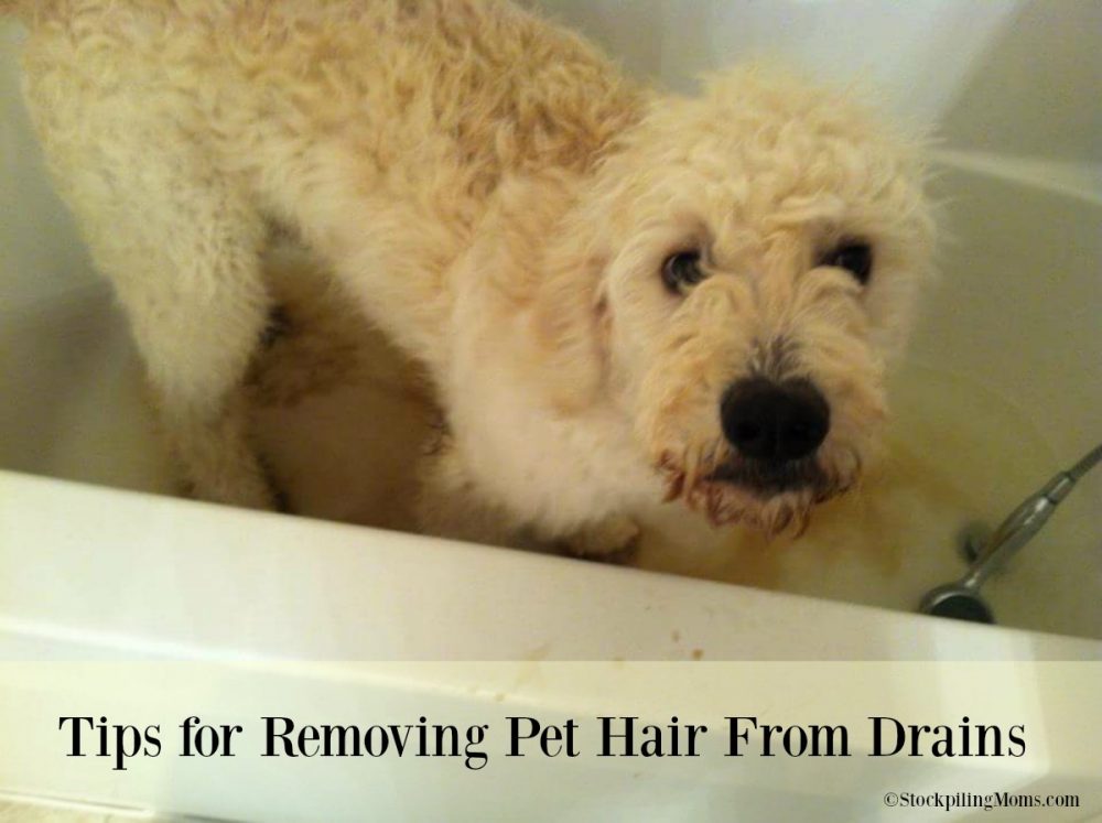 Tips for Removing Pet Hair From Drains