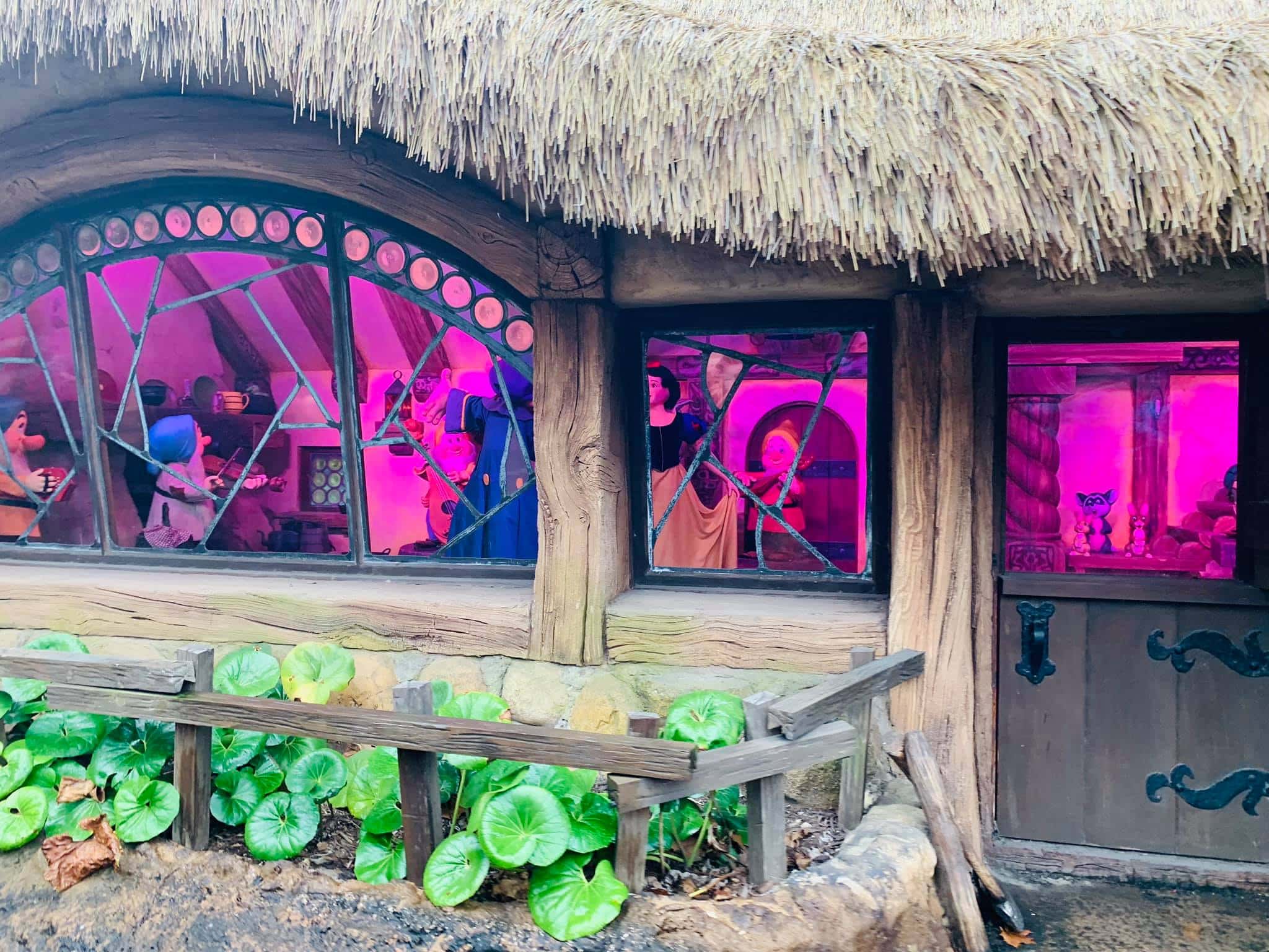 7 Cool Features of the Seven Dwarfs Mine Train Ride